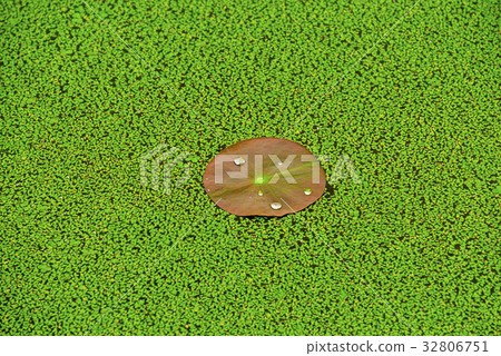 Yeonpyeong, Sanglim Park, Hamyang-gun, Gyeongnam, Korea Yeonpyeong, Sanglim Park, Hamyang-gun, Gyeongnam, Korea 32806751