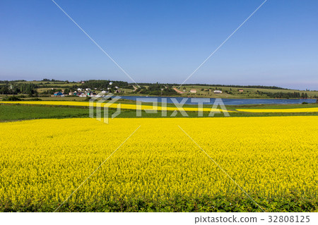 Prince Edward Island 32808125