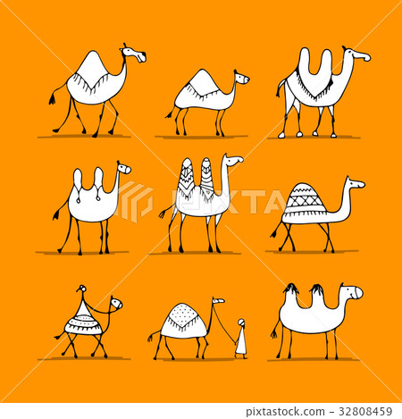 Camel set, sketch for your design Camel set, sketch for your design 32808459