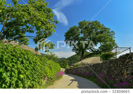 Ishigam，Outam Folk Village，Asan City，Chungnam，Korea 32808665