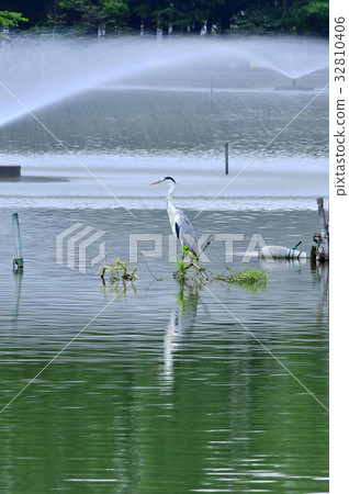 Fountain and heron 32810406