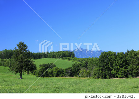 富良野市，北海道，山脈和綠色森林 32810423