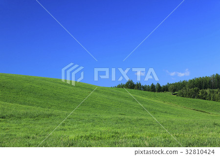 富良野市北海道草原 图库照片