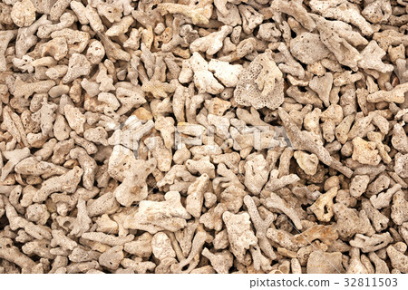 咾咕石 咾咕石 32811503