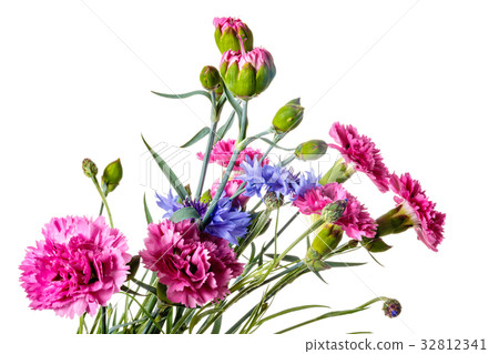 Bouquet of garden flowers 32812341