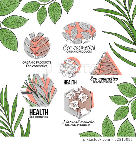 Eco cosmetics logo set with leaves and flowers 32813095
