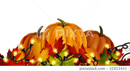 The vector illustration of pumpkins isolated 32813431