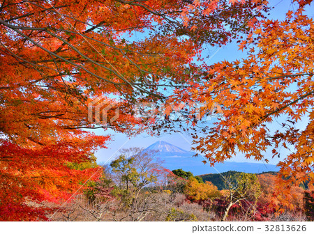 從Iwamotoyama Park-4801景觀 32813626