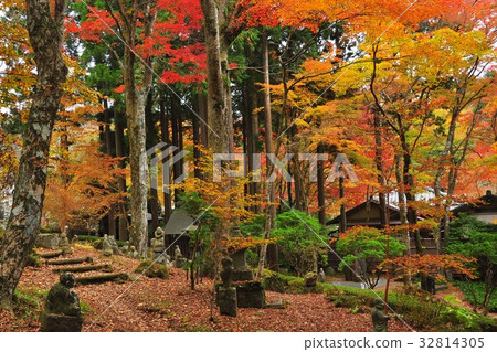 箱根町仙石原長安寺秋葉石佛 照片素材 圖片 圖庫