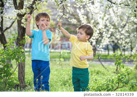 Happy little kids in spring garden with blooming Happy little kids in spring garden with blooming 32814339