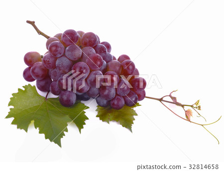 Grapes bunch fruit isolated on white background Grapes bunch fruit isolated on white background 32814658