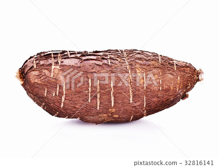 Cassava root isolated on whith background 32816141