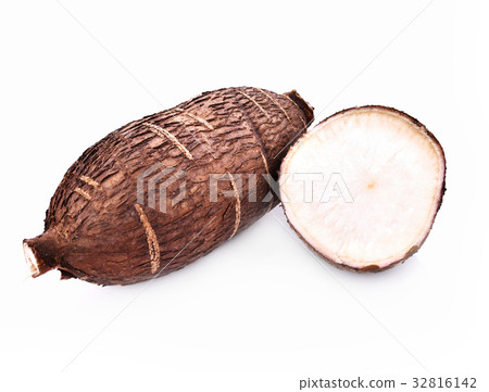 Cassava root isolated on whith background 32816142