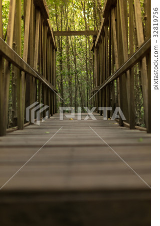 Wooden bridge in the forest. Wooden bridge in the forest. 32819756
