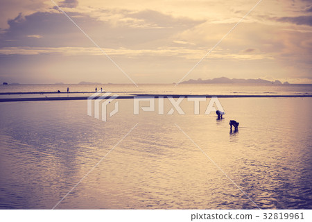 Beach and sky sunset background,retro effect 32819961