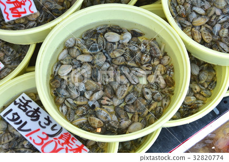 Tal 銷售的 Asari 32820774