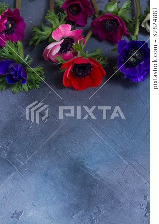 Anemones flowers on stone background 32824881