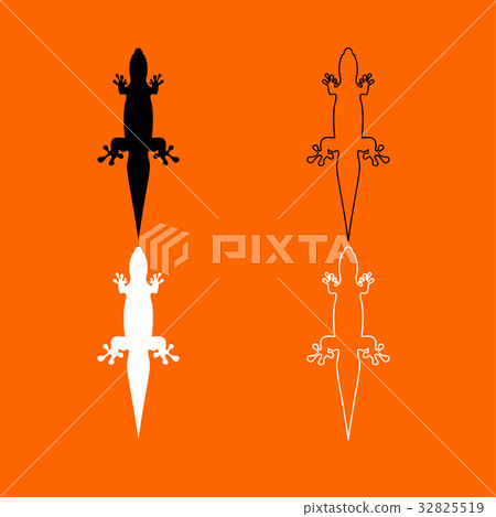 Lizard black and white set icon . Lizard black and white set icon . 32825519