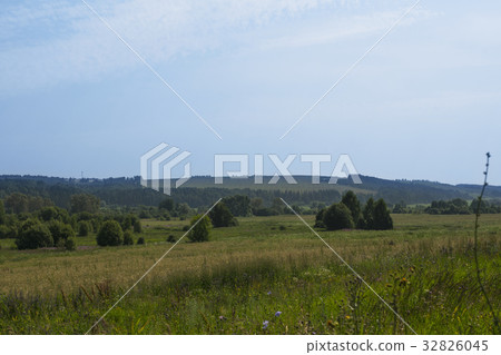 Beautiful Russian summer nature view 32826045