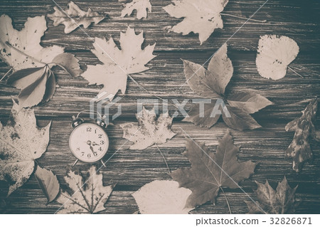 Autumn leaves and alarm clock on table. Autumn leaves and alarm clock on table. 32826871
