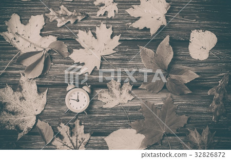 Autumn leaves and alarm clock on wooden table. Autumn leaves and alarm clock on wooden table. 32826872