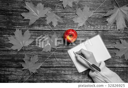 Female hand writing something in notebook Female hand writing something in notebook 32826925