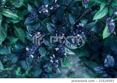 Green leaves creative pattern Green leaves creative pattern 32826993