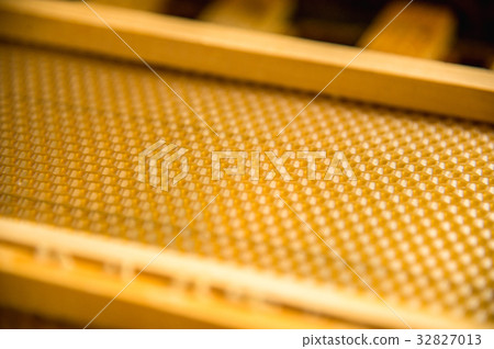 A new foundation in a wooden frame. A new foundation in a wooden frame. 32827013