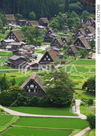 岐阜縣白川村夏季白川鄉的風景 32827566