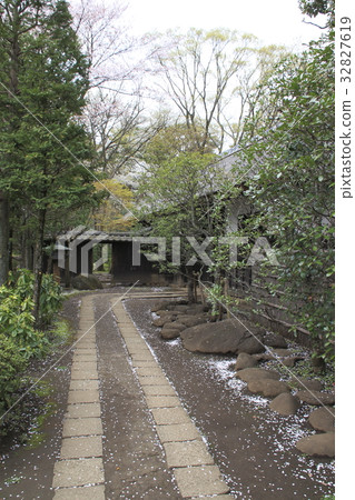 在江戶東京的花園 32827619
