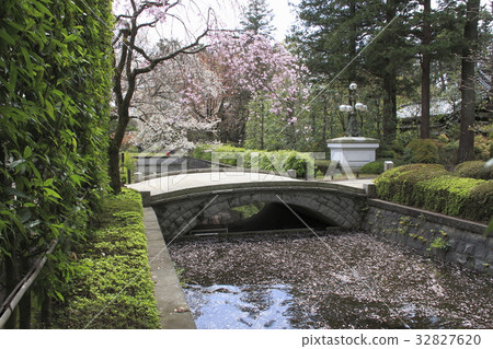 在江戶東京的花園 在江戶東京的花園 32827620