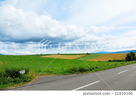 Biei A rural landscape with a red roof house 32830106