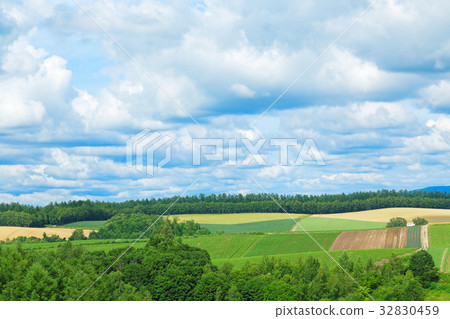 美瑛從Shikisai山上看到全景道路 32830459