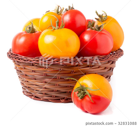 red and yellow tomatoes in a wicker basket 32831088
