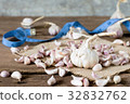 garlic among seed garlic and measuing tape 32832762