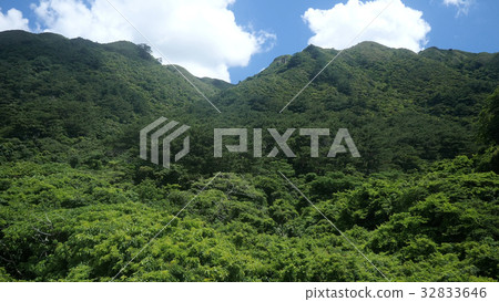 Mt Odode on Ishigaki Island Mt Odode on Ishigaki Island 32833646