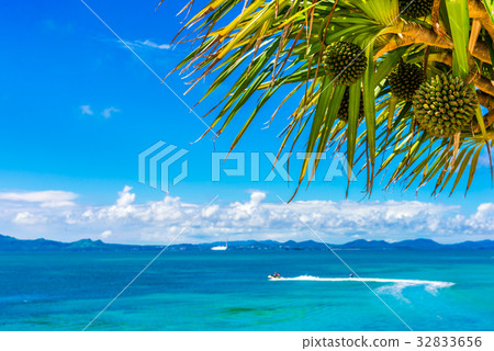 沖繩海 32833656