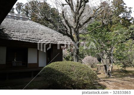 Landscape of Mito City Kairakuen in spring Landscape of Mito City Kairakuen in spring 32833863