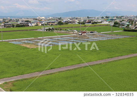 Rural landscape in July Rural landscape in July 32834035