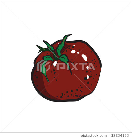 Color Sketch tomato Color Sketch tomato 32834133