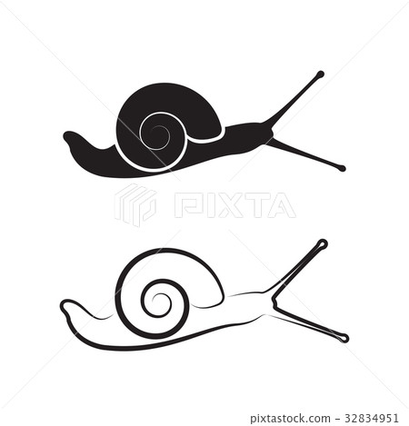 Vector of a snail on white background. Reptile. 32834951