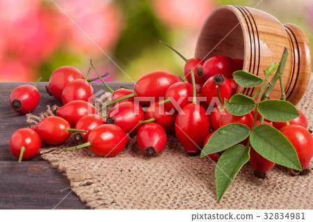 Fresh rosehip berries in a wooden bowl on the Fresh rosehip berries in a wooden bowl on the 32834981