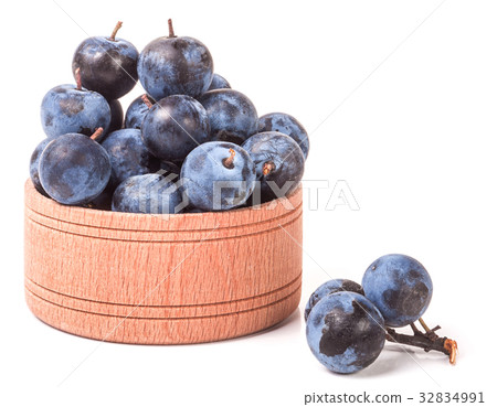 blackthorn berries in a wooden bowl isolated on 32834991