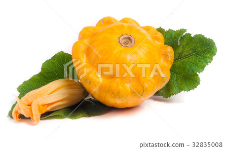 yellow pattypan squash with leaf and flower 32835008