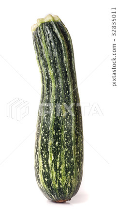 one green zucchini isolated on white background 32835011
