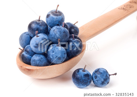 blackthorn berries in a wooden spoon isolated on 32835143