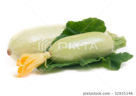 two zucchini with flower and leaf isolated on 32835146