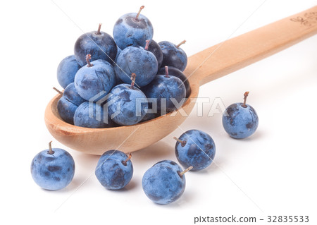 blackthorn berries in a wooden spoon isolated on 32835533