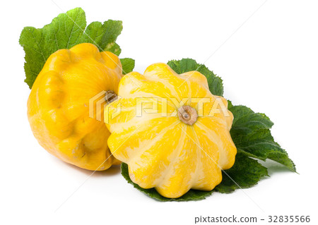 two yellow pattypan squash with leaf isolated on 32835566