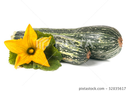 two zucchini with leaf and flower isolated on 32835617